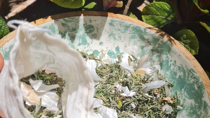 Plantes médicinales