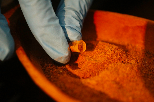 Primera cita de medicina placentaria